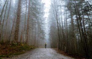 man loop alleen in een bos als een afbeelding bij een blog over de pensioendip